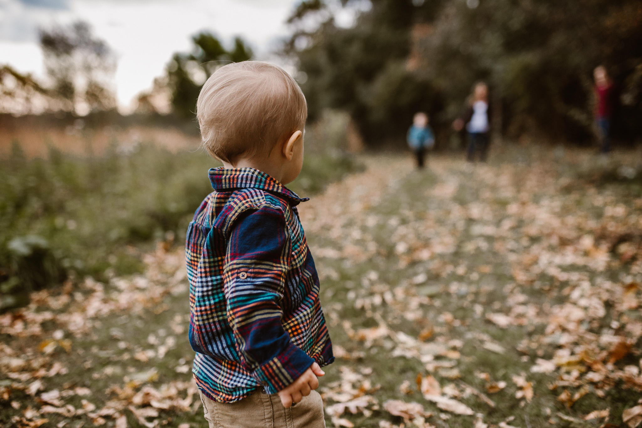 Toddler boy watching his parents from afar in an autumn field.