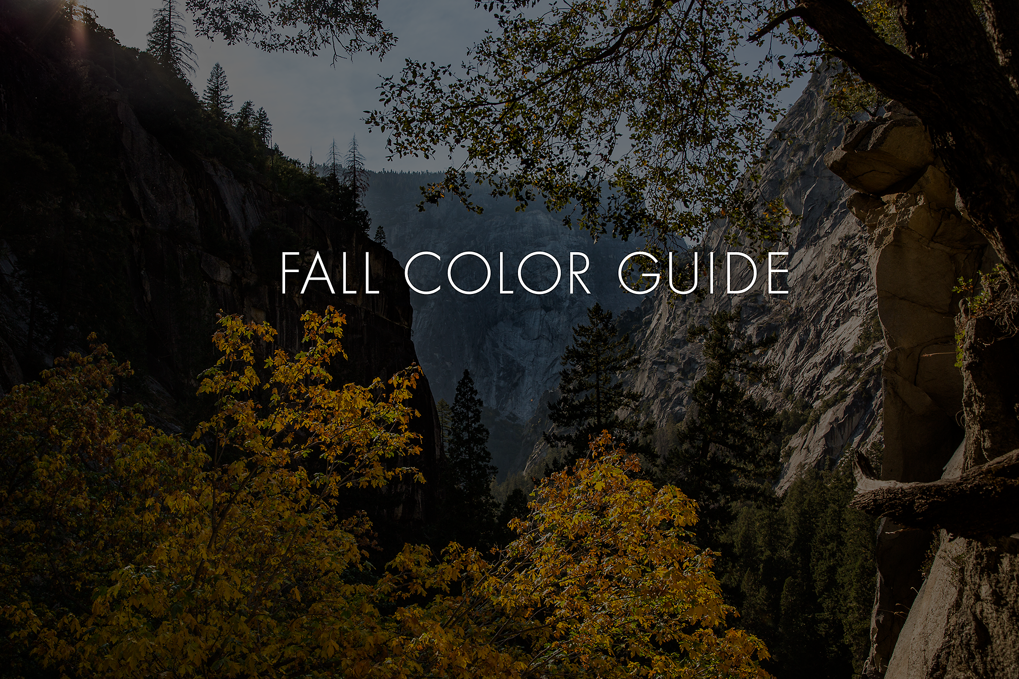 Fall wardrobe color guide for family photos